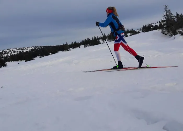 Edith Апартаменты Герсфельд